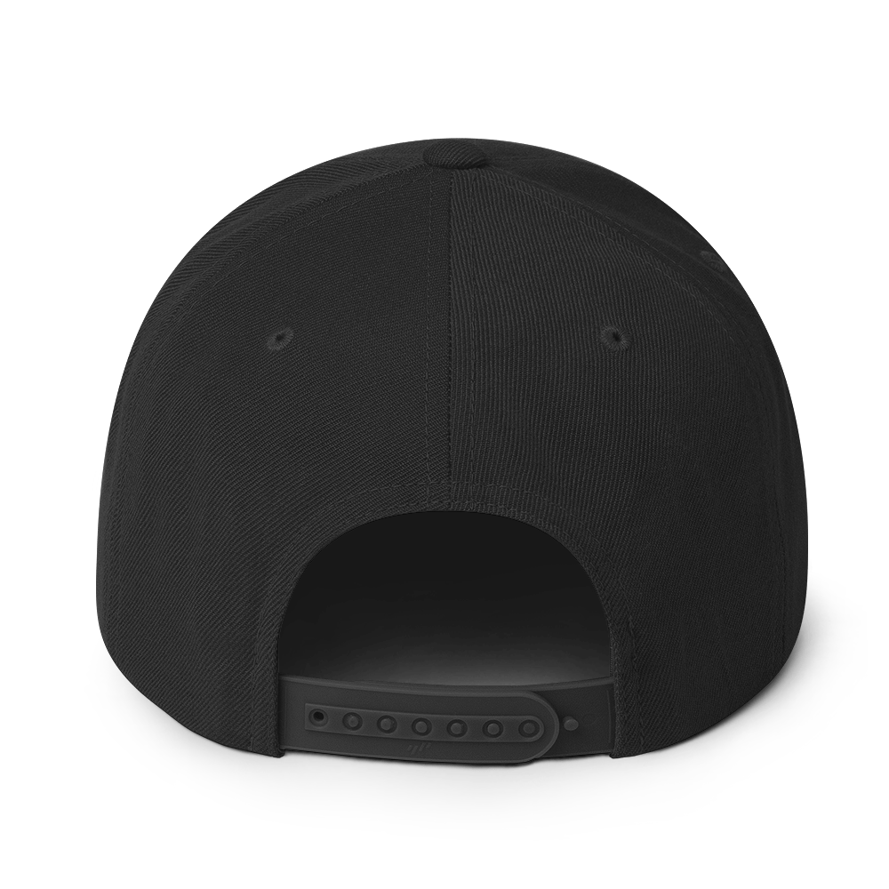 Leopard Step Flatbill Cap Arcade Black With Bad Kitty Emblem