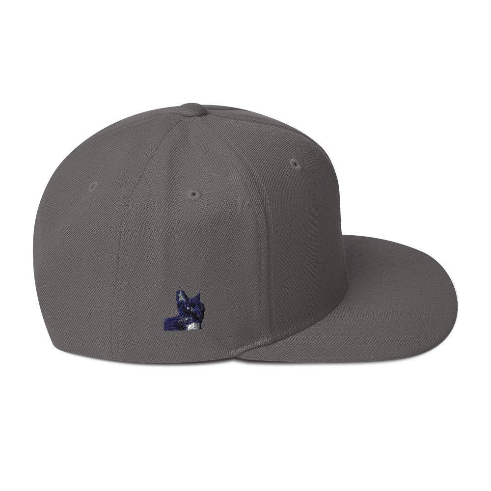 Leopard Step Flatbill Cap Portland Gray With Bad Kitty Emblem